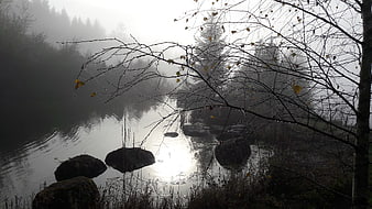 Misty autumn river with bare branches and rocks