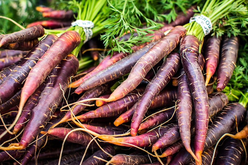 Fresh Purple Carrots with Green Tops at Farmers Market