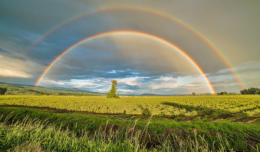 Double Rainbow Over Green Agricultural Field in British Columbia