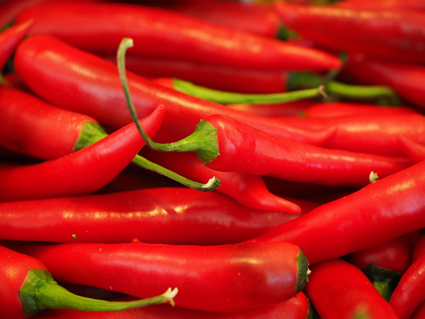 Close-up of Fresh Red Chili Peppers Piled Together