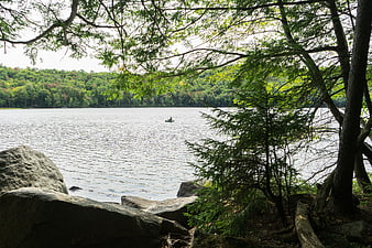 Serene Lake View Through Forest Trees with Kayaker