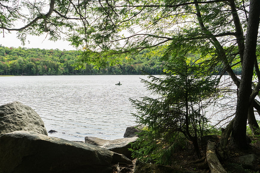 Serene Lake View Through Forest Trees with Kayaker