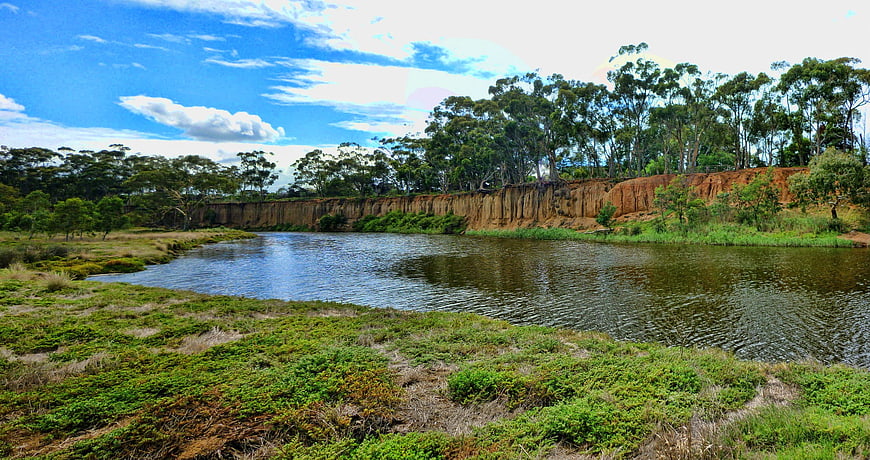 Panoramic view of a river with red cliffs and eucalyptus trees