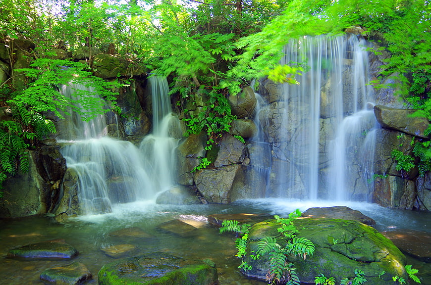 Serene waterfall cascading over mossy rocks in lush green forest