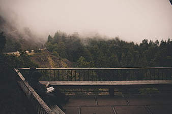 Couple Reading on Bench in Foggy Mountain Landscape