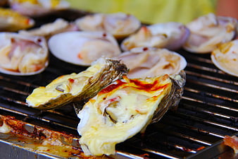 Grilled oysters with melted cheese on a barbecue grill