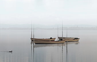 Moody Canoes on Misty Lake with Duck