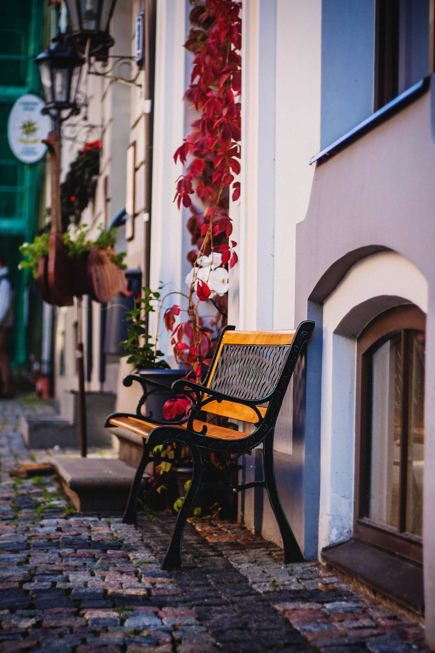 Empty wooden bench on cobblestone street with red ivy
