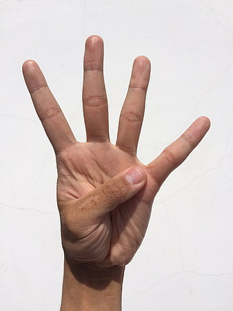 Hand Gesture Showing Four Fingers Against White Background