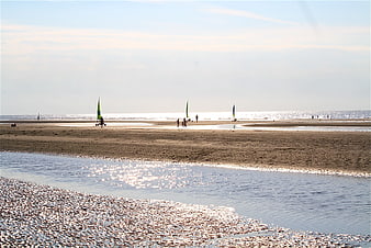 Windsurfers on sandy beach with sparkling water foreground