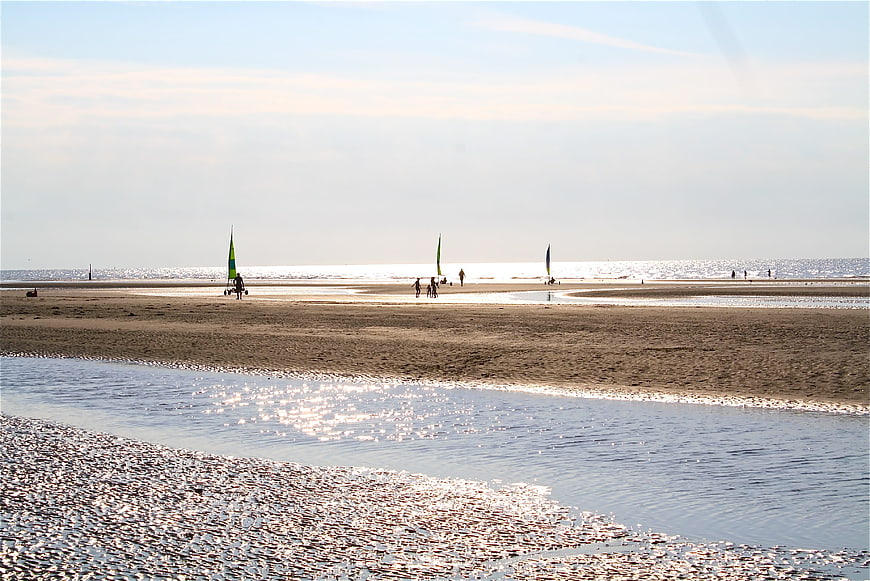 Windsurfers on sandy beach with sparkling water foreground