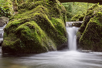 Mossy waterfall in lush green forest with silky water flow