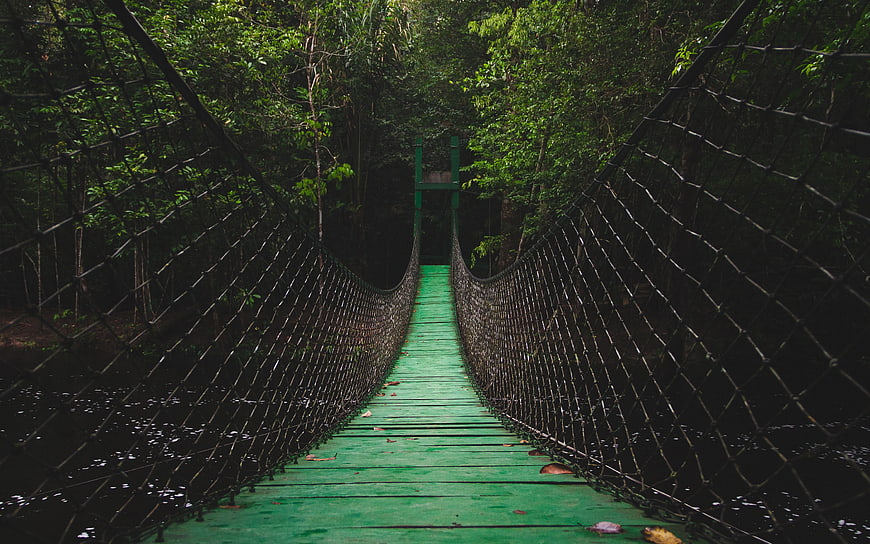 Green suspension bridge in lush tropical rainforest jungle