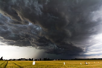 Dramatic Thunderstorm Clouds Over Golden Wheat Field