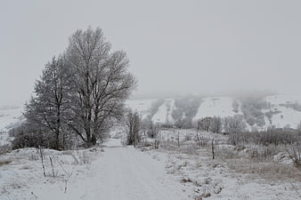 Snowy Winter Landscape with Frosted Trees and Foggy Hills