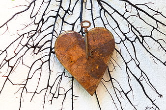 Rusted metal heart with key on white wall with thorny vines