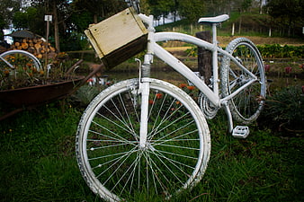 White Vintage Bicycle with Wooden Box in Garden