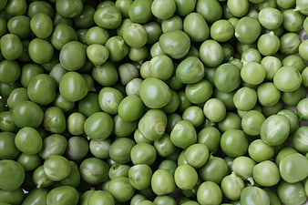 Close-up of Fresh Green Peas