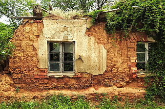 Abandoned Dilapidated House with Peeling Walls and Overgrown Vegetation