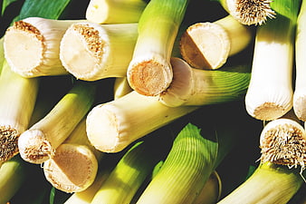 Fresh Leeks Close-Up on Dark Background