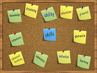 Corkboard with sticky notes for skills, training, and business goals