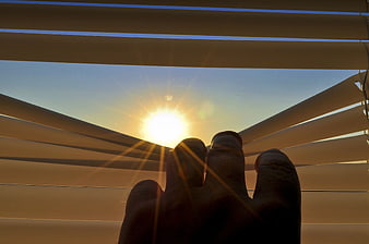 Hand Reaching Through Venetian Blinds Toward Morning Sunlight