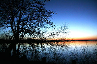 Silhouetted Tree Branches Over Calm Lake At Dusk