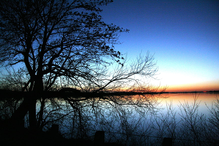 Silhouetted Tree Branches Over Calm Lake At Dusk