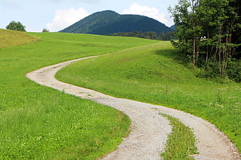 Winding Gravel Path Through Green Meadow With Mountain Background