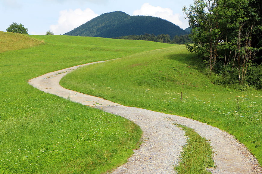 Winding Gravel Path Through Green Meadow With Mountain Background