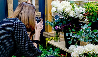 Woman Photographer Taking Pictures of White Roses in Flower Shop