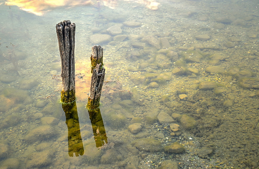 Weathered Wooden Posts in Clear Shallow Lake Water