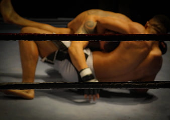 MMA fighters grappling in boxing ring ropes