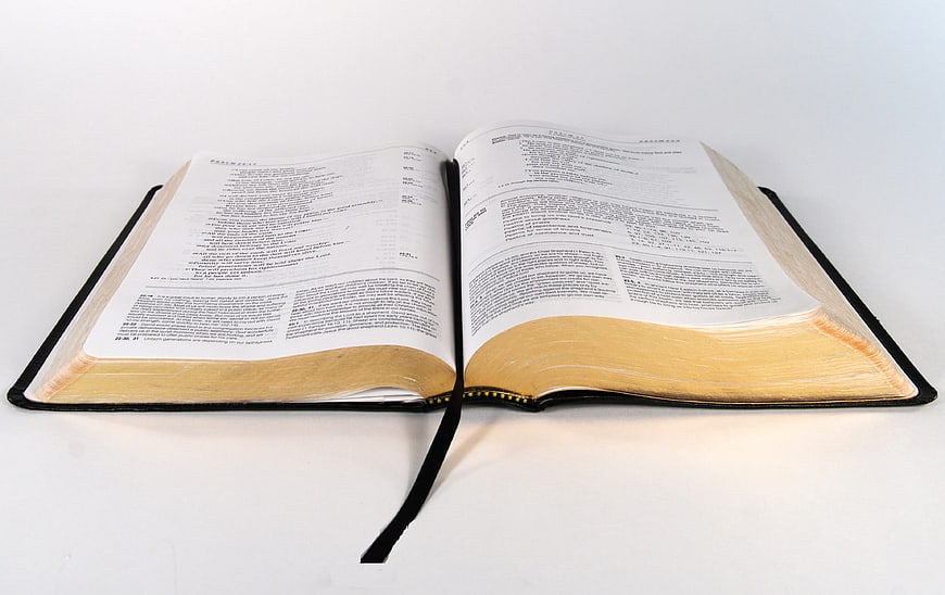 Open Bible on White Background