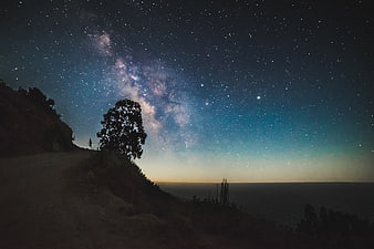 Milky Way Galaxy Over Coastal Cliff and Ocean at Night