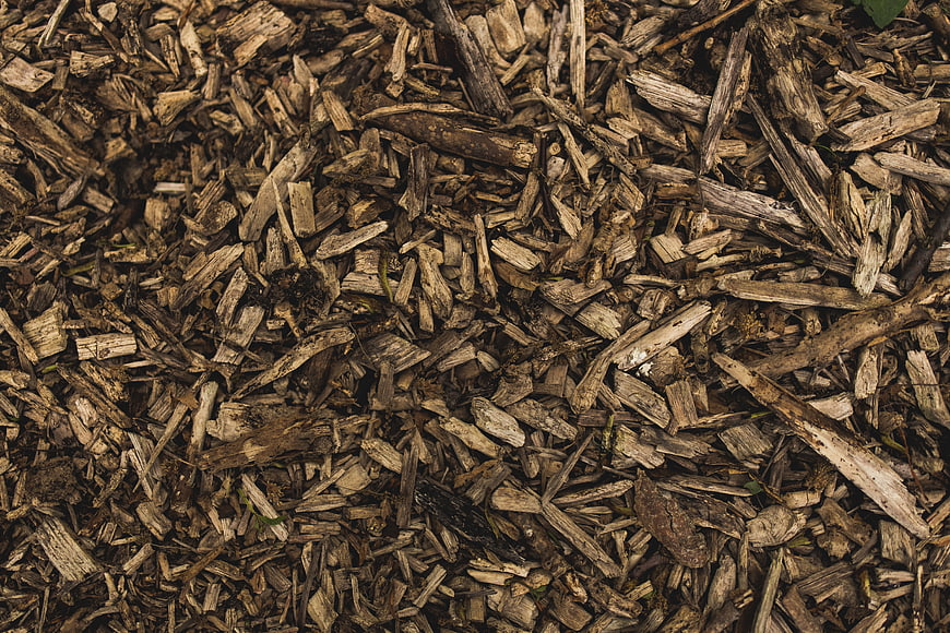 Top View of Wood Chips and Bark Mulch Texture