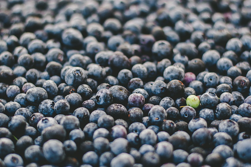 Close-up texture of fresh blueberries with single green berry