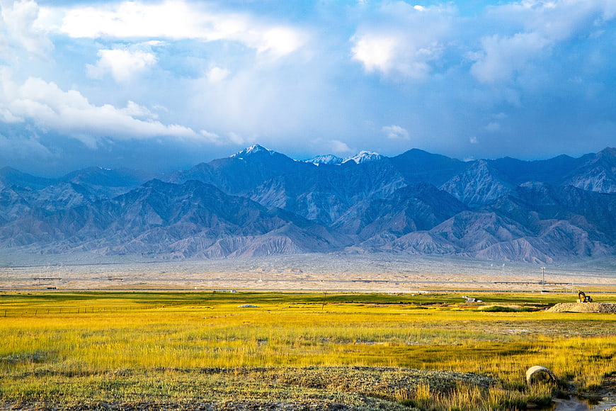 Golden agricultural field with distant snow-capped mountains and dramatic sky