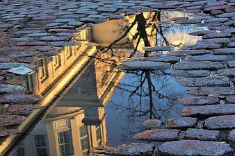 Golden hour reflection of a building in a puddle on a cobblestone street