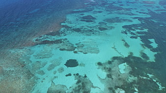 Aerial View of Turquoise Coral Reef and Deep Blue Ocean