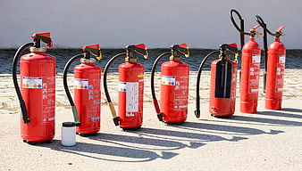 Row of red fire extinguishers lined up on a concrete surface outdoors