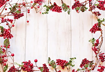 Red Berry Vine Frame On White Wooden Background