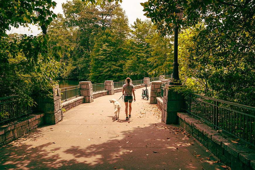 Woman Walking Dog on Park Bridge Path