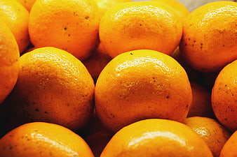 Close-up of fresh vibrant oranges with textured skin