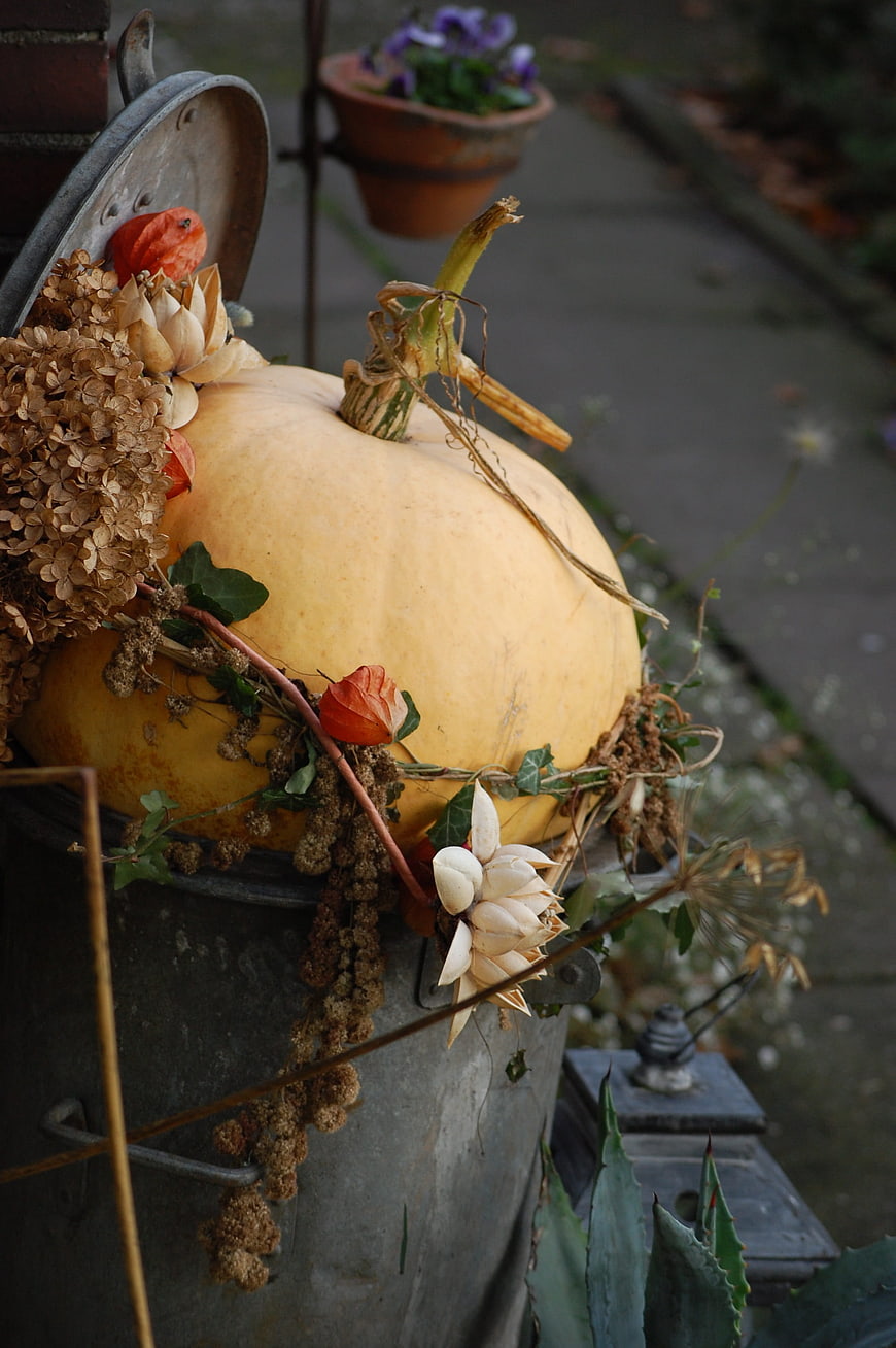 Rustic autumn pumpkin decoration in metal bucket