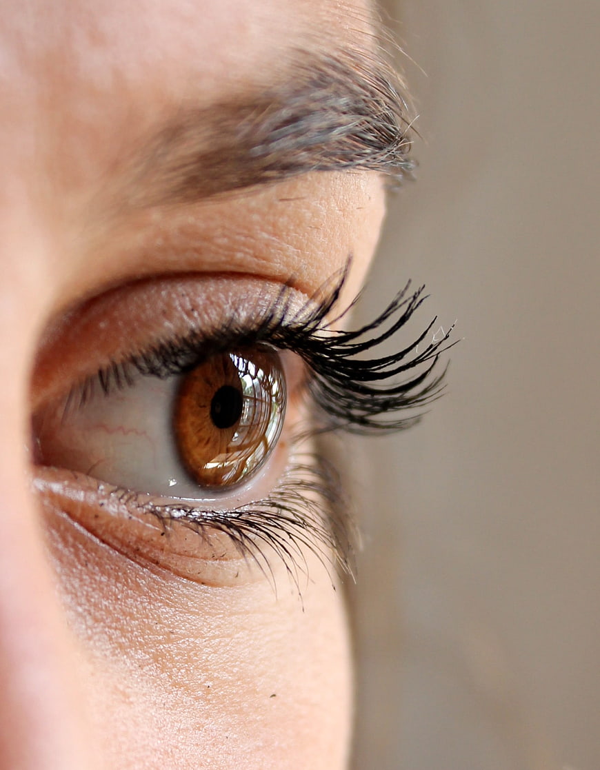 Close-up of a woman's brown eye with long eyelashes