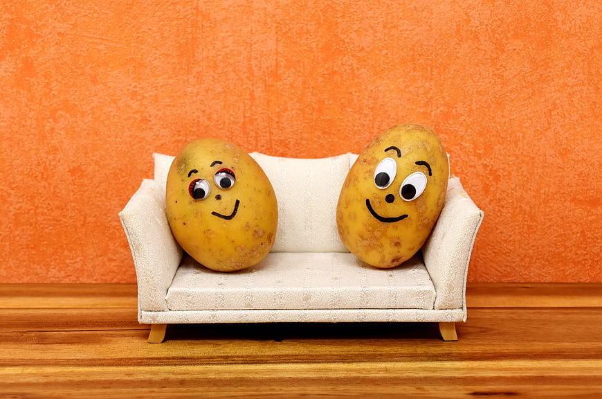 Funny potatoes with faces sitting on a miniature sofa