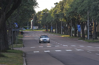 Silver convertible driving down tree-lined road at sunset