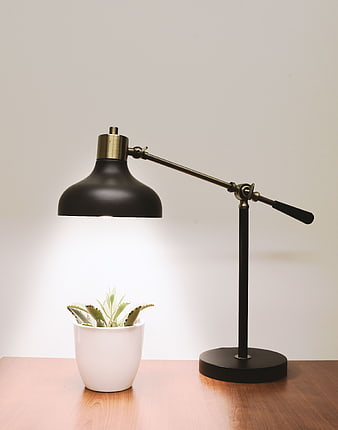 Modern Black Desk Lamp with Brass Accents and Succulent Plant