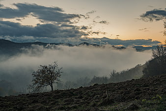 Misty Mountain Landscape at Sunset with Plowed Field